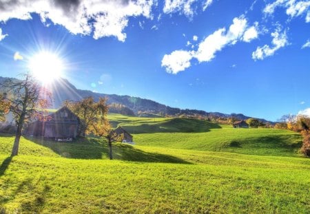 Sunny farm - trees, hills, sun, blue sky, white clouds, house, grass, farm house, brush, barns