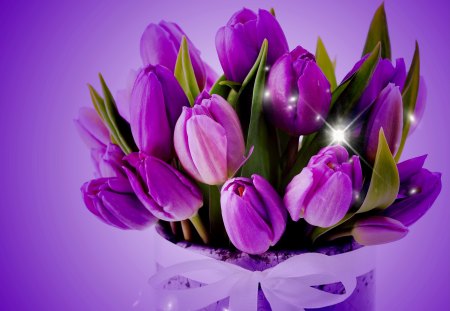 *** Tulips *** - flowers, bouquet, violet, nature