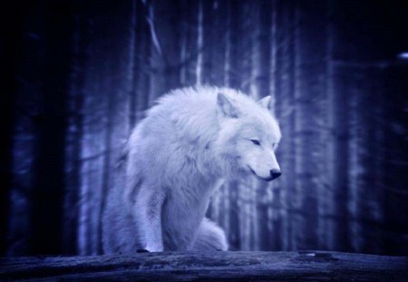 Blue Wolf - fantasy, trees, animal, wolf