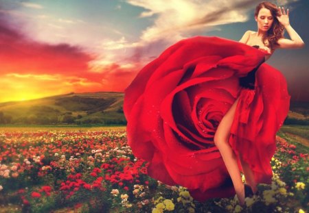 *** Woman like a rose *** - nature, people, female, meadow, rose, model