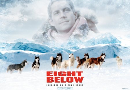 Eight Below - Warmth, Courage, Heartfelt, Love