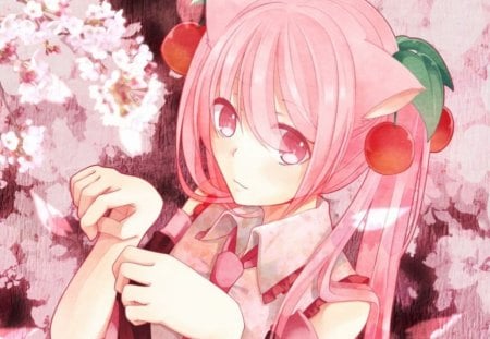 Sakura Nyan Miku ..... - anime, female, ears, vocalod, blossom, hatsune miku, pink, long hair, pink eyes, sakura miku, pink hair, neko, anime girl, sakura, cherry blossom, hot, girl, sakura blossom, flower, miku, cute, hatsune, floral, sexy, vocaloids