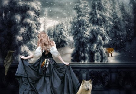 Frosty Night - wolf, frosty, lady, night, fantasy