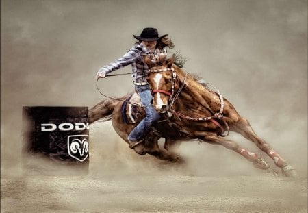 Rodeo - cowgirl, rodeo, photo, horse