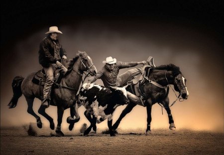 Rodeo - horses, horse, cowboy, rodeo, photo