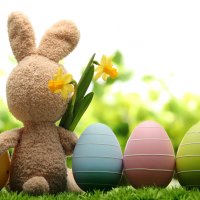 Easter Bunny â™¥