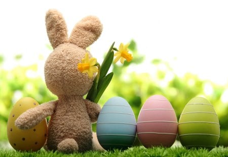 Easter Bunny ♥ - eggs, yellow, special, daffodils, holidays, bunny, Easter, flowers, colorful, day, pastel