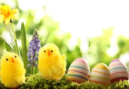 Easter ♥ - eggs, yellow, spring, daffodils, holidays, special days, Easter, flowers, colorful, event, pastel