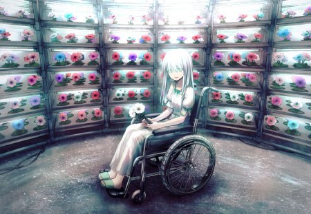 Flower Keeper - female, hot, storeroom, wheelchair, anime girl, wheel, storage, wheel chair, store, petals, anime, cute, sexy, girl, long hair, floral, blossom, flower