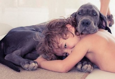 RESTING - DOG, RESTING, TOGETHER, KID