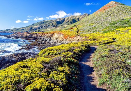 wonderful trail along a rugged seacoast - vegetation, hills, trail, coast, rugged, sea