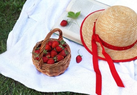 *** Strawberries *** - strawberries, basket, heat, nature