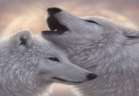 Wolf Love Song - male, female, howl, wolves