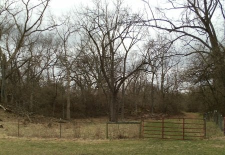 Thru the Gate - fence, trees, gate, red, field, grass