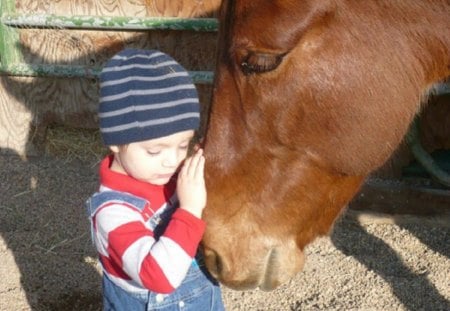 FUTURE JOCKEY - patting, child, cute, horse