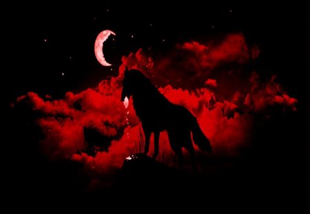 Under A Red Moon - wolf, moon, red, night, black