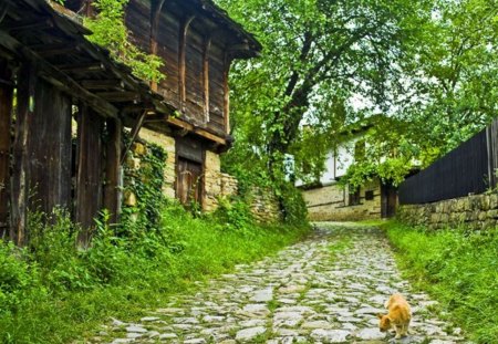 ♥ - green, old, beauty, houses, atchitecture