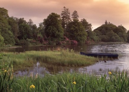 GENTLE DOCK - flowers, trees, green, boat