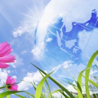 PINK FLOWER and GLOBE