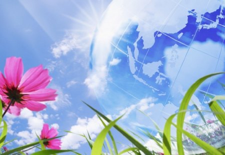 PINK FLOWER and GLOBE - beautiful pink flower, transparent globe