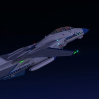 F-14 Tomcat