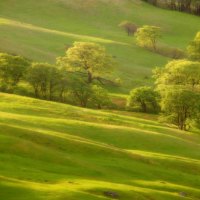 GREEN HILLS IN SUNLIGHT