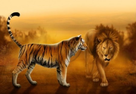 two majesties meet - lions, animals, tigers