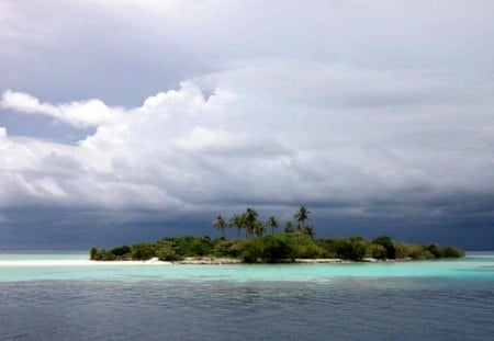 PARADISE ISLAND - palm trees, beautiful island, ocean, isolation