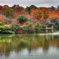 Autumn reflections