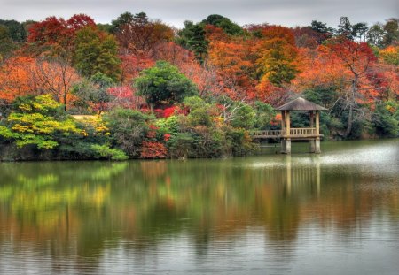 Autumn reflections - reflections, autumn