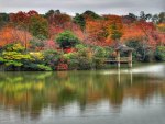 Autumn reflections