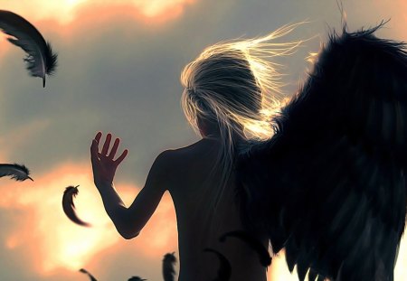 Cast Down - male, boy, fantasy, wings, angel, black wings