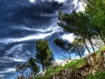 tree lined ridge hdr