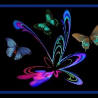 *Colors Flapping Wings*