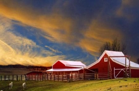 farm - red, farming, barn, farms