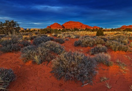 The needles district - national park, sunset, shrubs, landscape, rocks