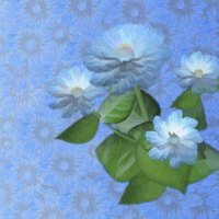 **Blue Flowers Bloom**