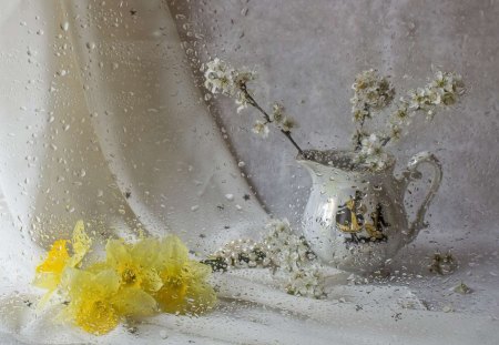 Still life - white, flower, rain, flowers, photo, still life