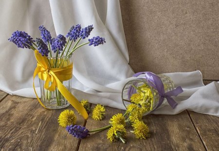 Still life - flowers, white, blue, photo, flower, still life