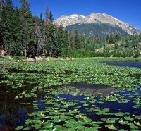 Cub Lake, Stone Mountain, Rocky Mountain National Park, Colorado