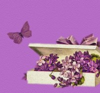 **Soft Purple in Spring**