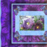 *HBD Purple Greetings*