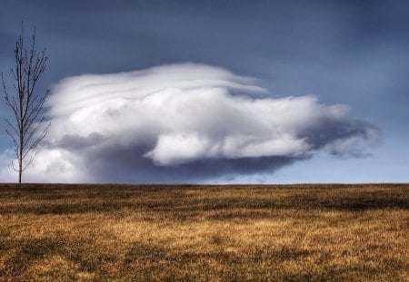 wonderful cloud over field - hill, tree, field, clouds