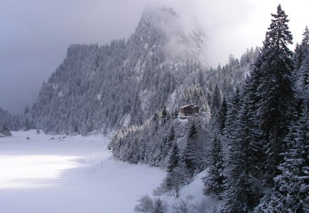 unbelievable cabin in a wintry forest - forest, clouds, winter, cabin, mountains