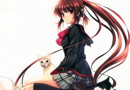 The Cat Lover - pets, long hair, cats, animals, pretty, uniform, anime, girl