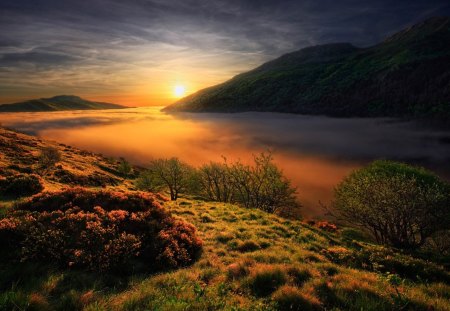 Precious moments - trees, landscape, foggy, forest, mountains