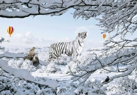 Winter tiger