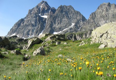 Monte Viso, Italy - fun, field, nature, mountain