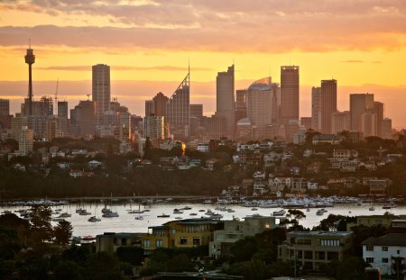 Sydney Skyline at Sunset - architecture, fun, sunset, skyscrapers