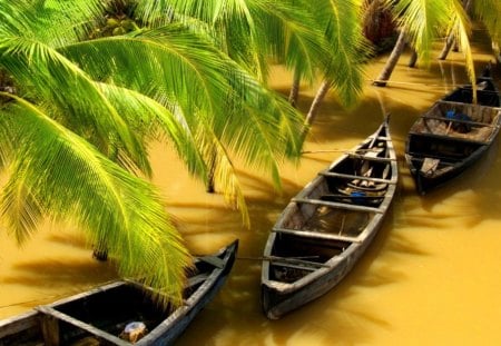 Tropical paradise - pretty, relax, sunny, summer, beach, prtetty, island, walk, exotic, palm trees, paradise, nice, palms, beautiful, vacation, lovely, rest, tropics, boats, nature, tropical